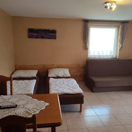 Maciejowka Guest house *